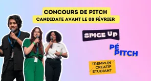 Appel à candidatures spice up up, pepitch, tremplin créatif Angers, Nantes Le Mans